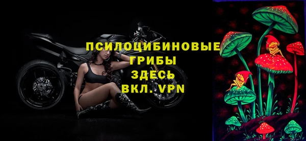 не бодяженный Саяногорск